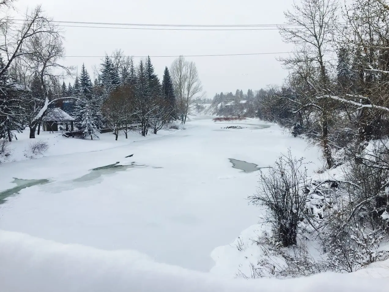 Elbow Park